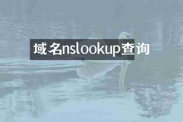 域名nslookup查询
