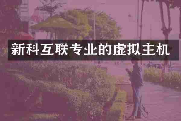 新科互联专业的虚拟主机