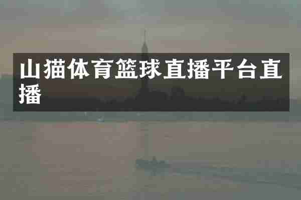 山猫体育篮球直播平台直播