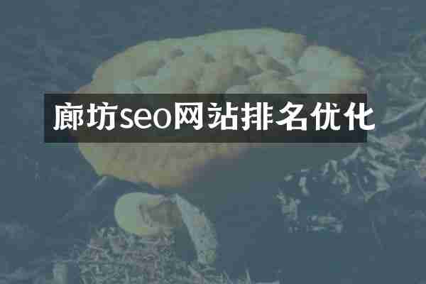 廊坊seo网站排名优化