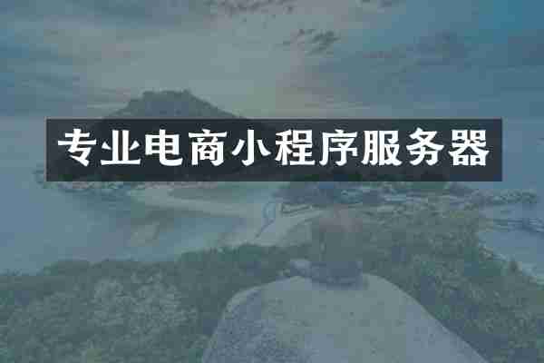 专业电商小程序服务器