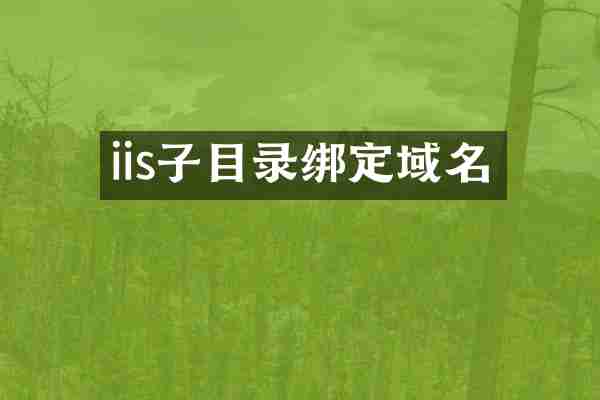 iis子目录绑定域名
