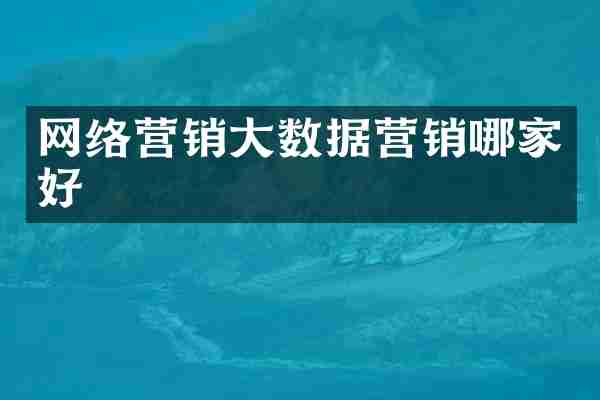 网络营销大数据营销哪家好