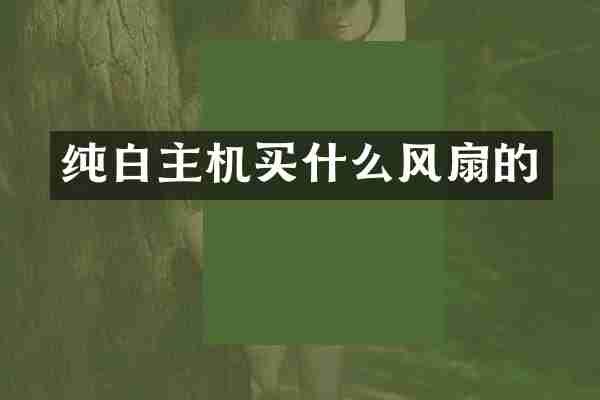 纯白主机买什么风扇的