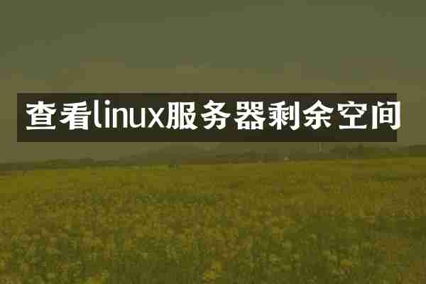 查看linux服务器剩余空间