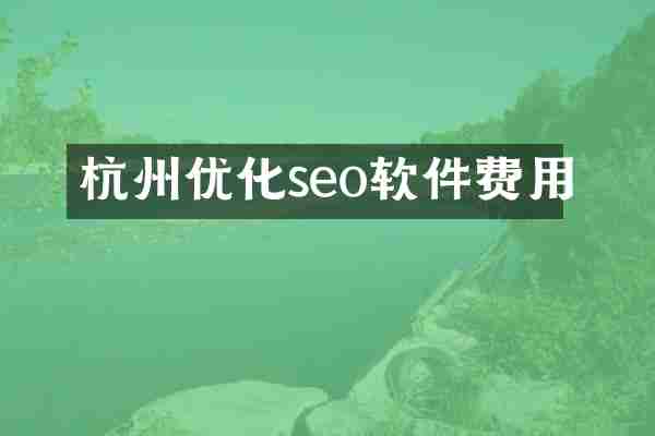 杭州优化seo软件费用
