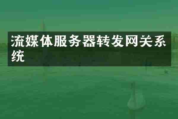 流媒体服务器转发网关系统