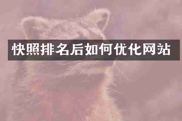 快照排名后如何优化网站