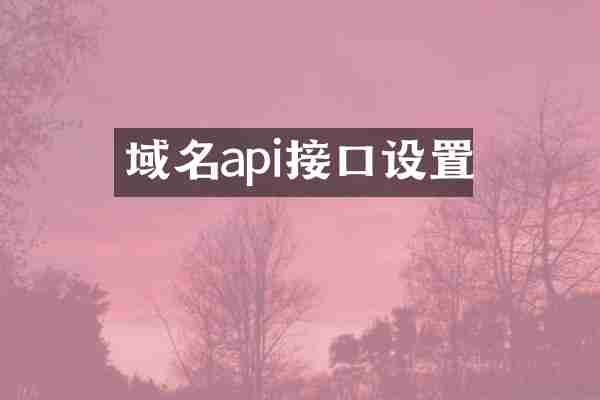 域名api接口设置