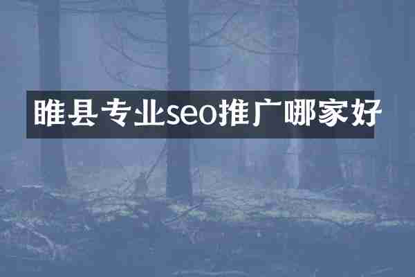 睢县专业seo推广哪家好