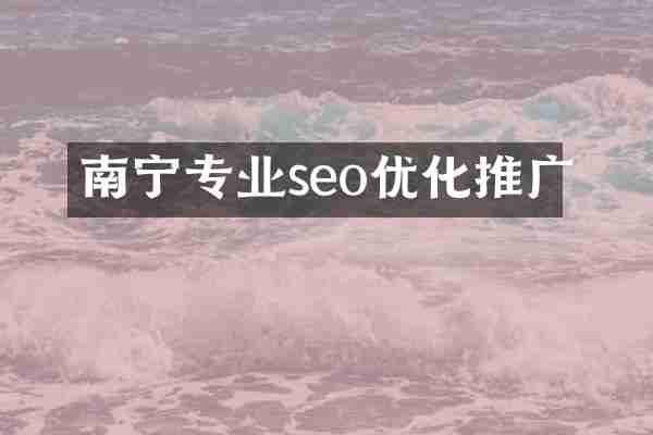 南宁专业seo优化推广