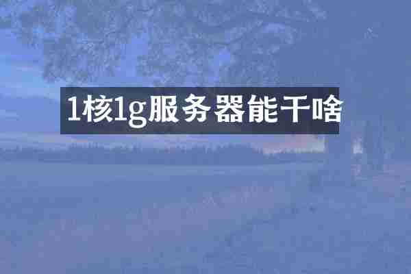 1核1g服务器能干啥