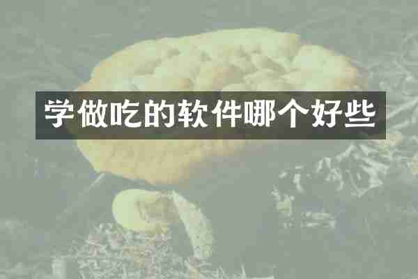 学做吃的软件哪个好些