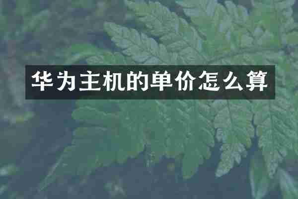 华为主机的单价怎么算