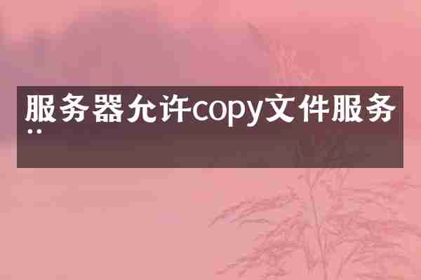 服务器允许copy文件服务器