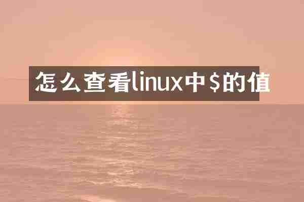 怎么查看linux中$的值