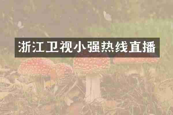 浙江卫视小强热线直播