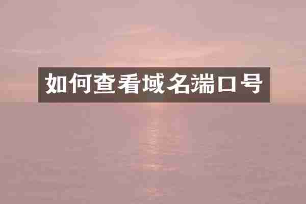 如何查看域名端口号