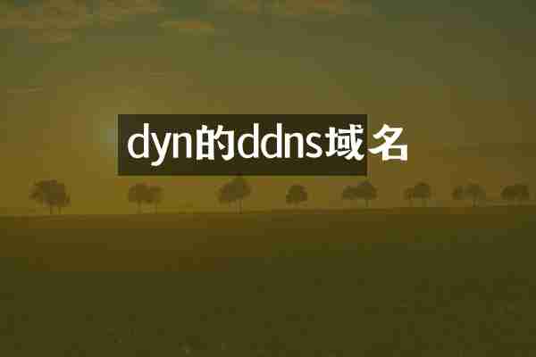 dyn的ddns域名