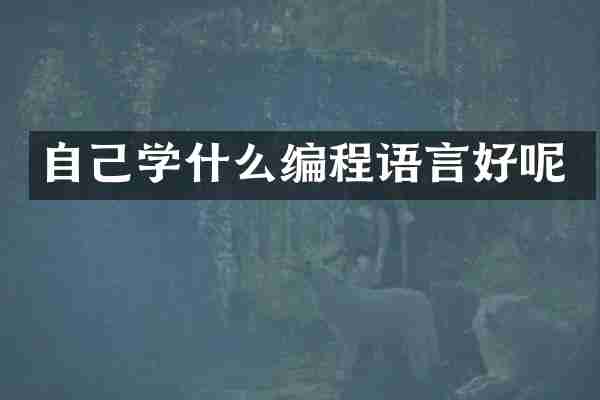 自己学什么编程语言好呢