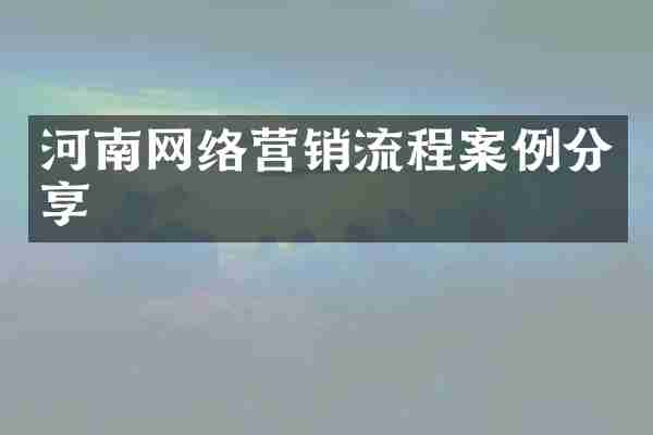 河南网络营销流程案例分享