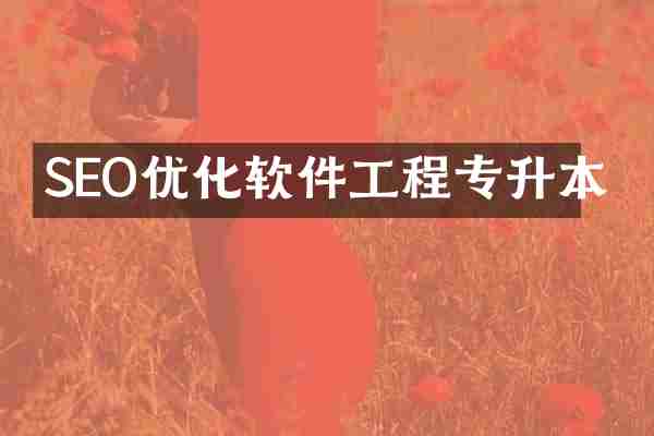 SEO优化软件工程专升本
