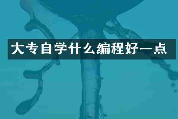 大专自学什么编程好一点