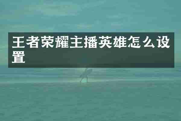 王者荣耀主播英雄怎么设置