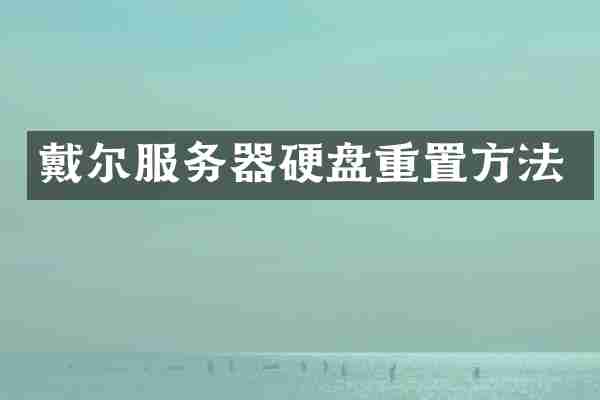 戴尔服务器硬盘重置方法