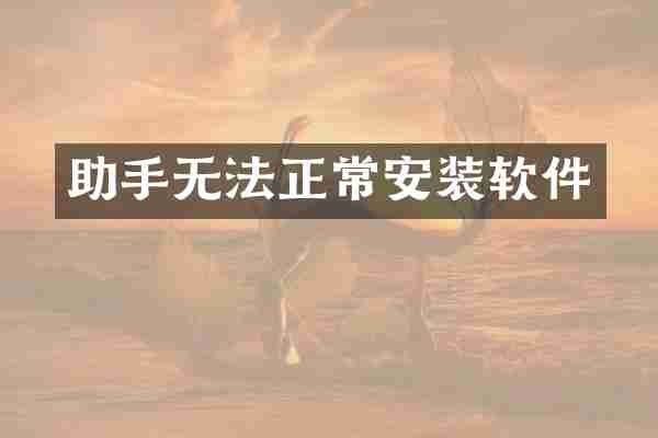 助手无法正常安装软件