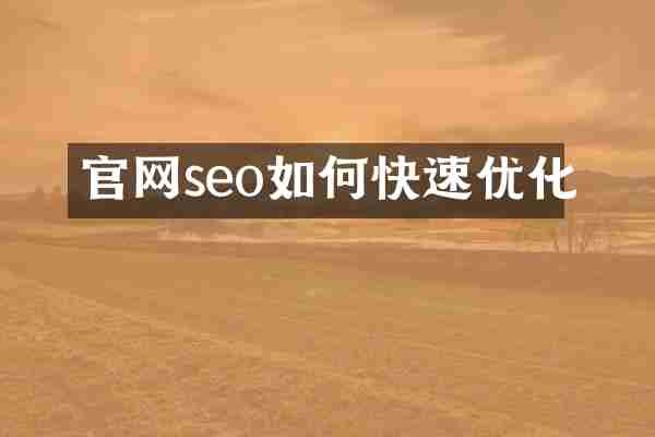 官网seo如何快速优化