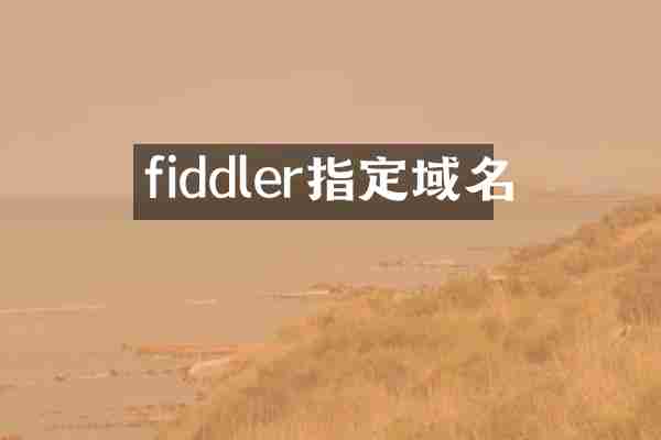 fiddler指定域名