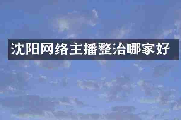 沈阳网络主播整治哪家好