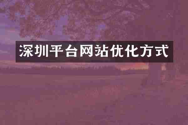 深圳平台网站优化方式