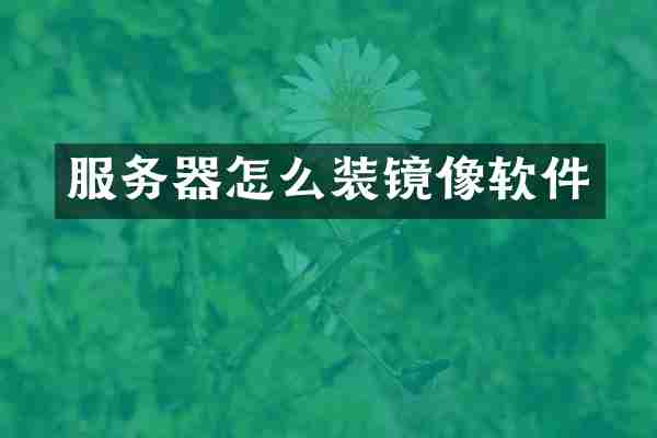 服务器怎么装镜像软件