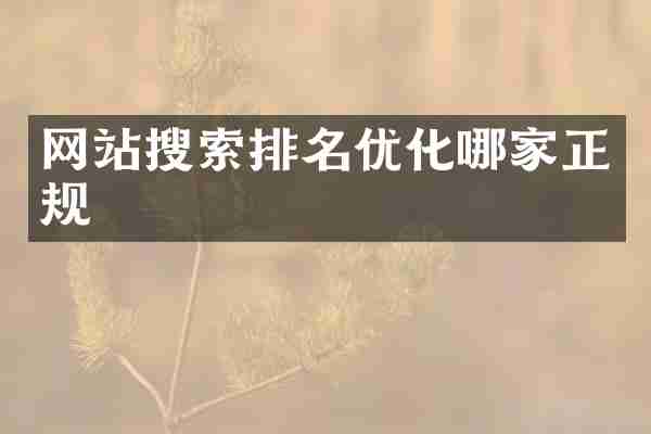 网站搜索排名优化哪家正规