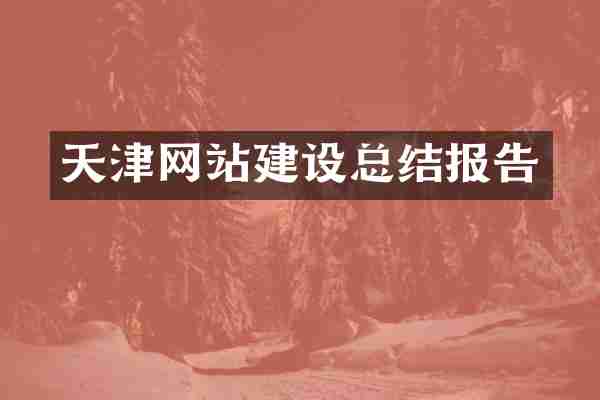 天津网站建设总结报告