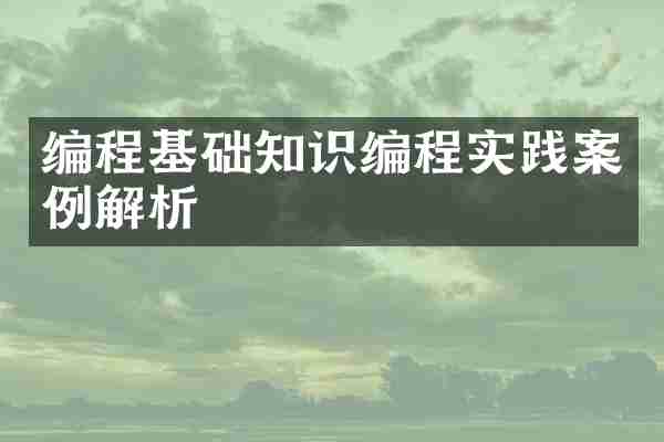 编程基础知识编程实践案例解析