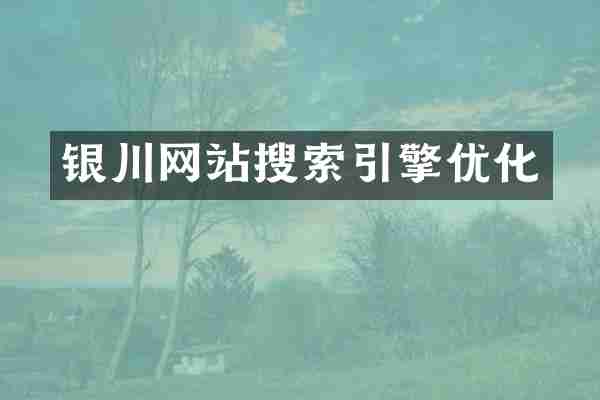 银川网站搜索引擎优化
