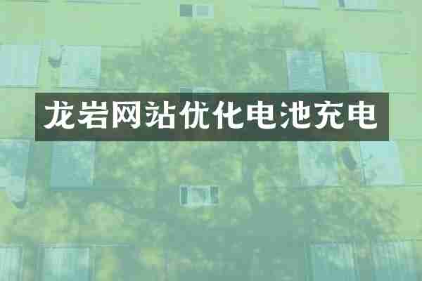 龙岩网站优化电池充电
