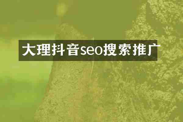 大理抖音seo搜索推广