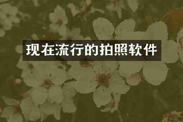 现在流行的拍照软件