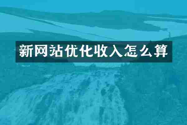 新网站优化收入怎么算