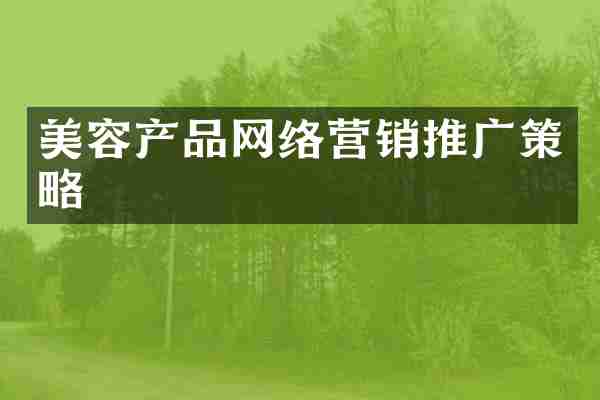 美容产品网络营销推广策略