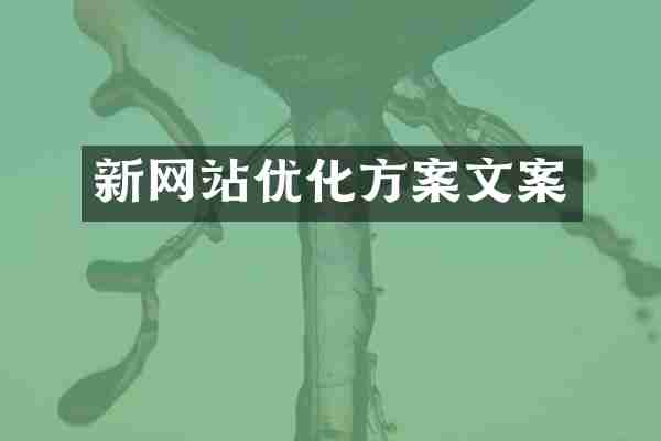 新网站优化方案文案