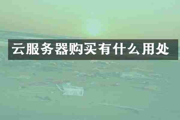 云服务器购买有什么用处