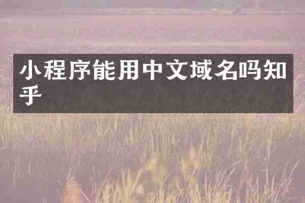 小程序能用中文域名吗知乎