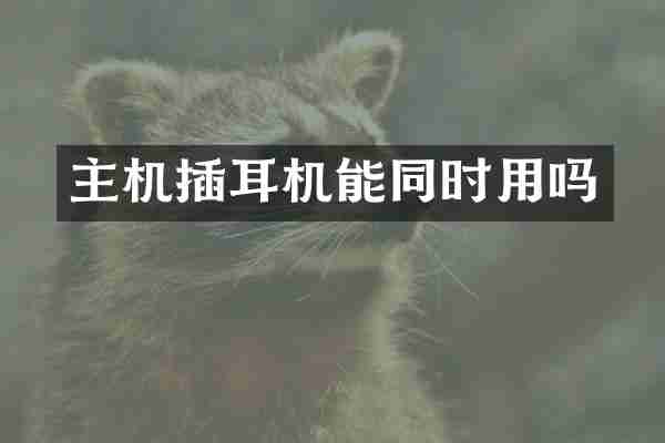 主机插耳机能同时用吗
