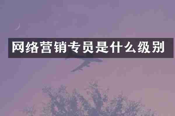 网络营销专员是什么级别