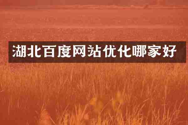 湖北百度网站优化哪家好